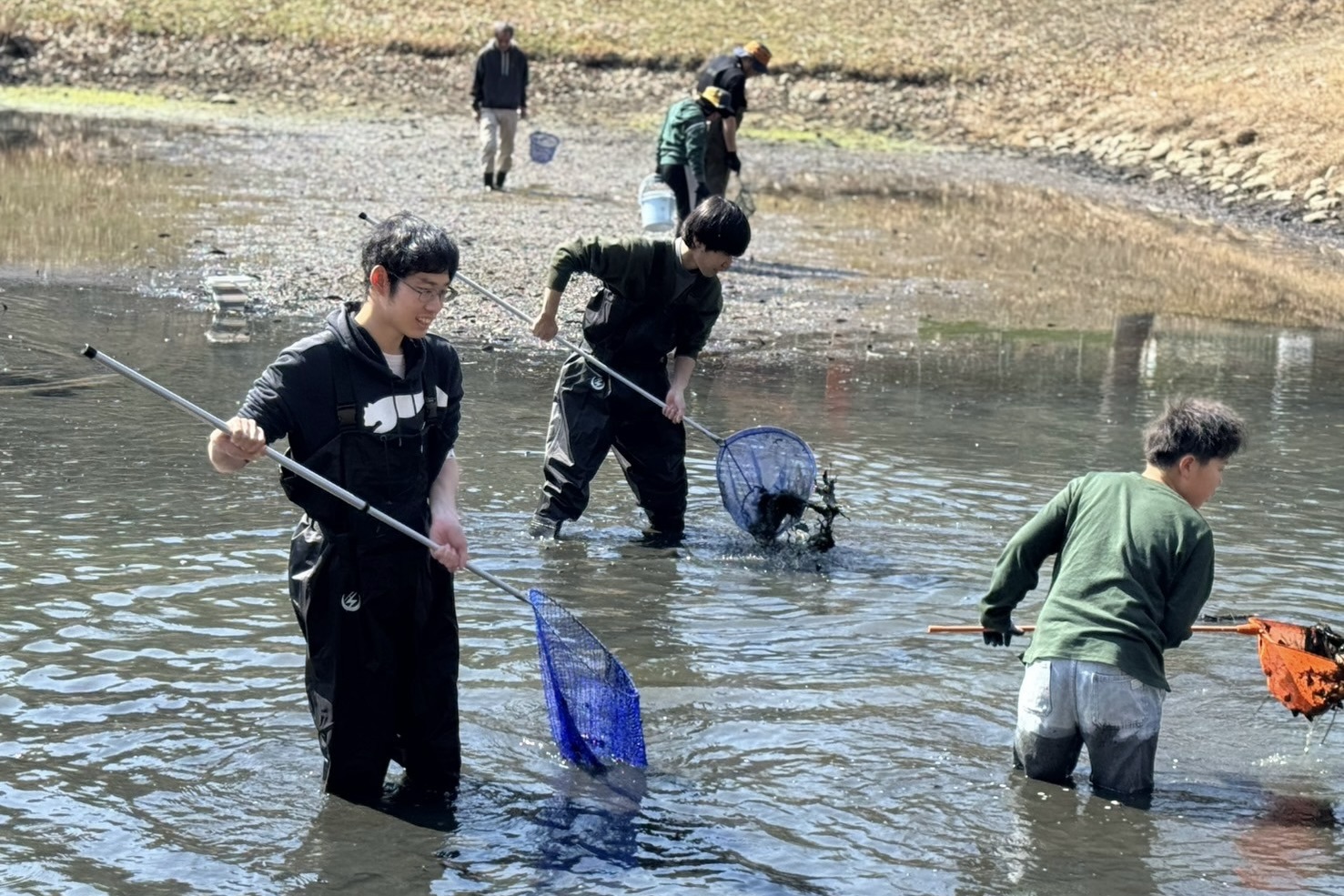 生物採集の様子
