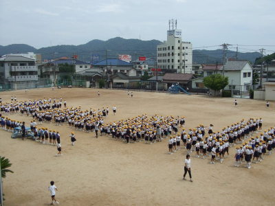 26798124