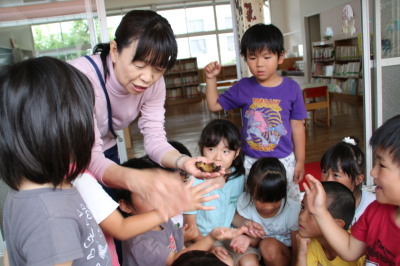 カブトムシの幼虫をプレゼント