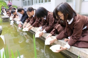 カワバタモロコ放流の様子の写真