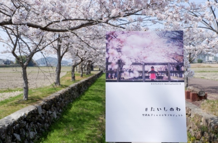 フォトブック写真