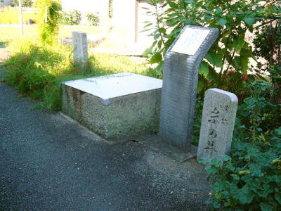 糸の井