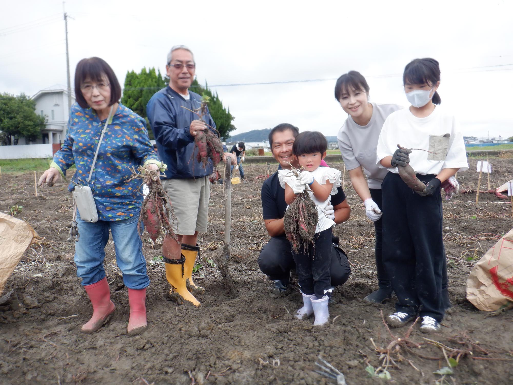 さつまいも収穫祭　昨年度の様子