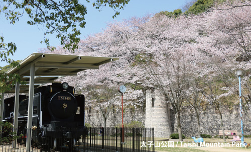 太子山公園