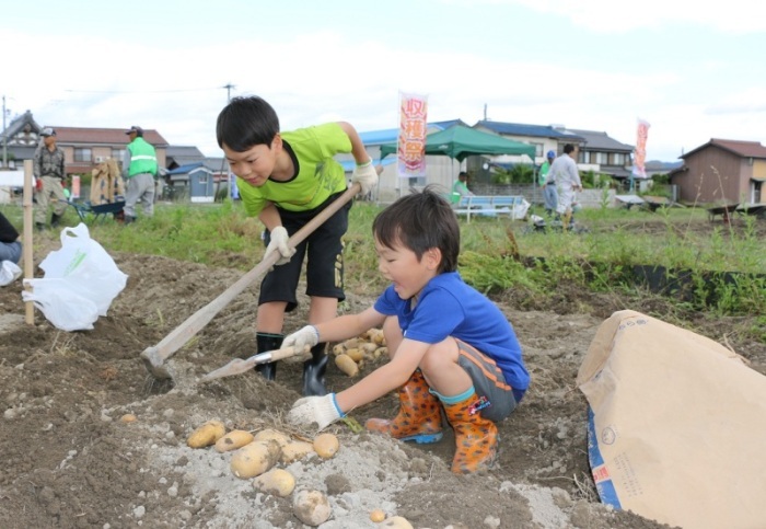 令和元年じゃがいも収穫祭の様子1