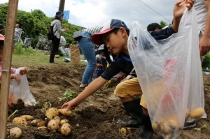 令和元年じゃがいも収穫祭の様子3