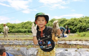 令和元年じゃがいも収穫祭の様子5