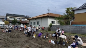 令和元年サツマイモ収穫祭の写真7
