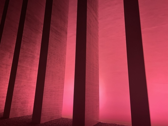 pink2