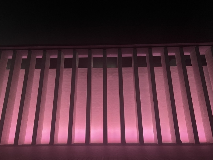 pink3