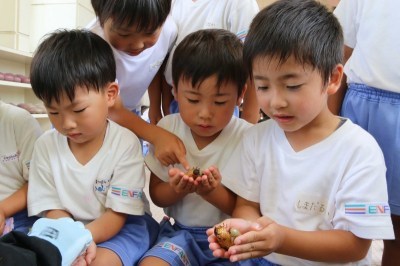 カブトムシの幼虫をプレゼント