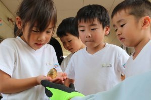 カブトムシの幼虫をプレゼント
