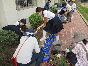 太田小学校花壇の整備
