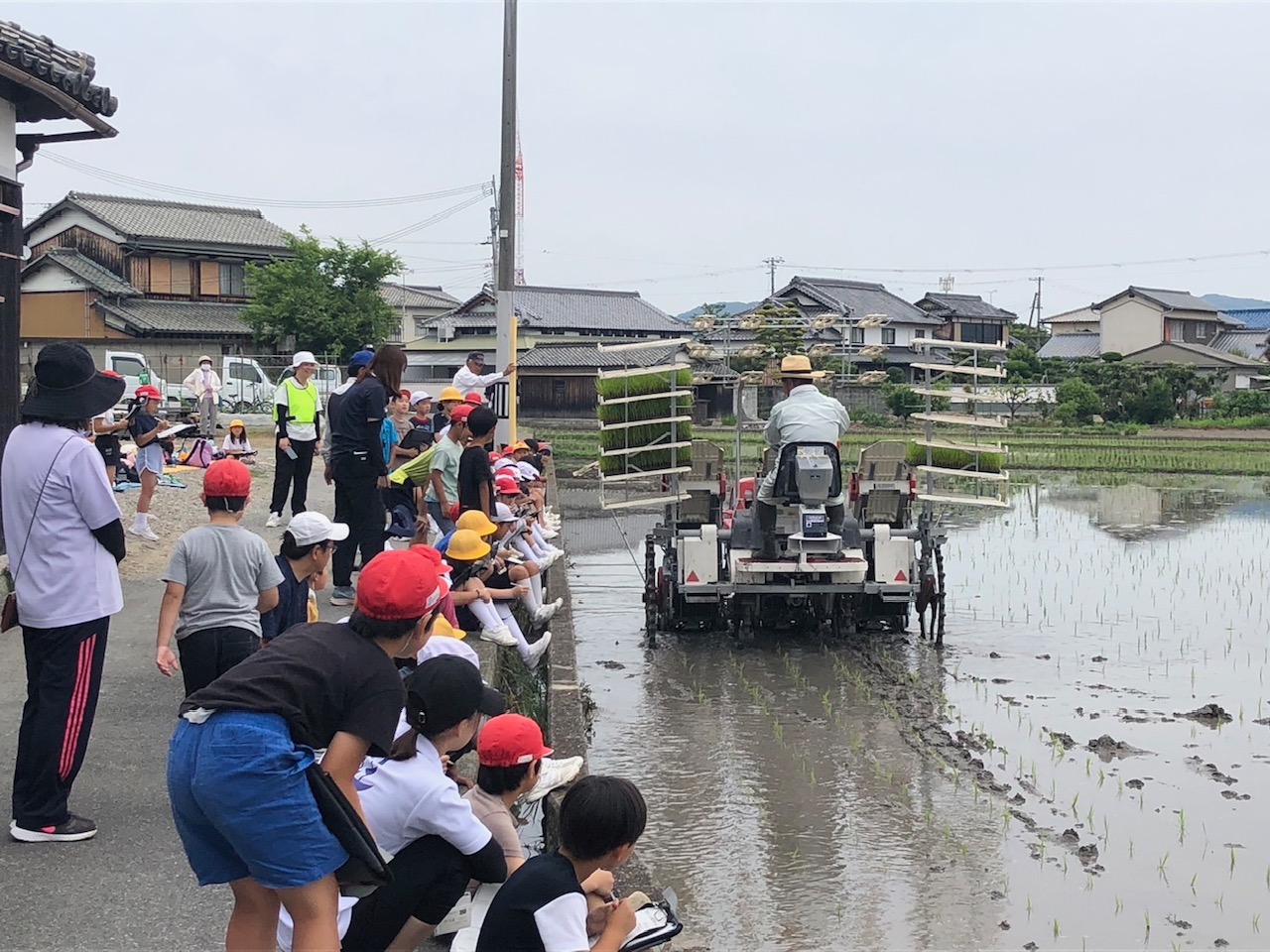 田植え（斑鳩小）