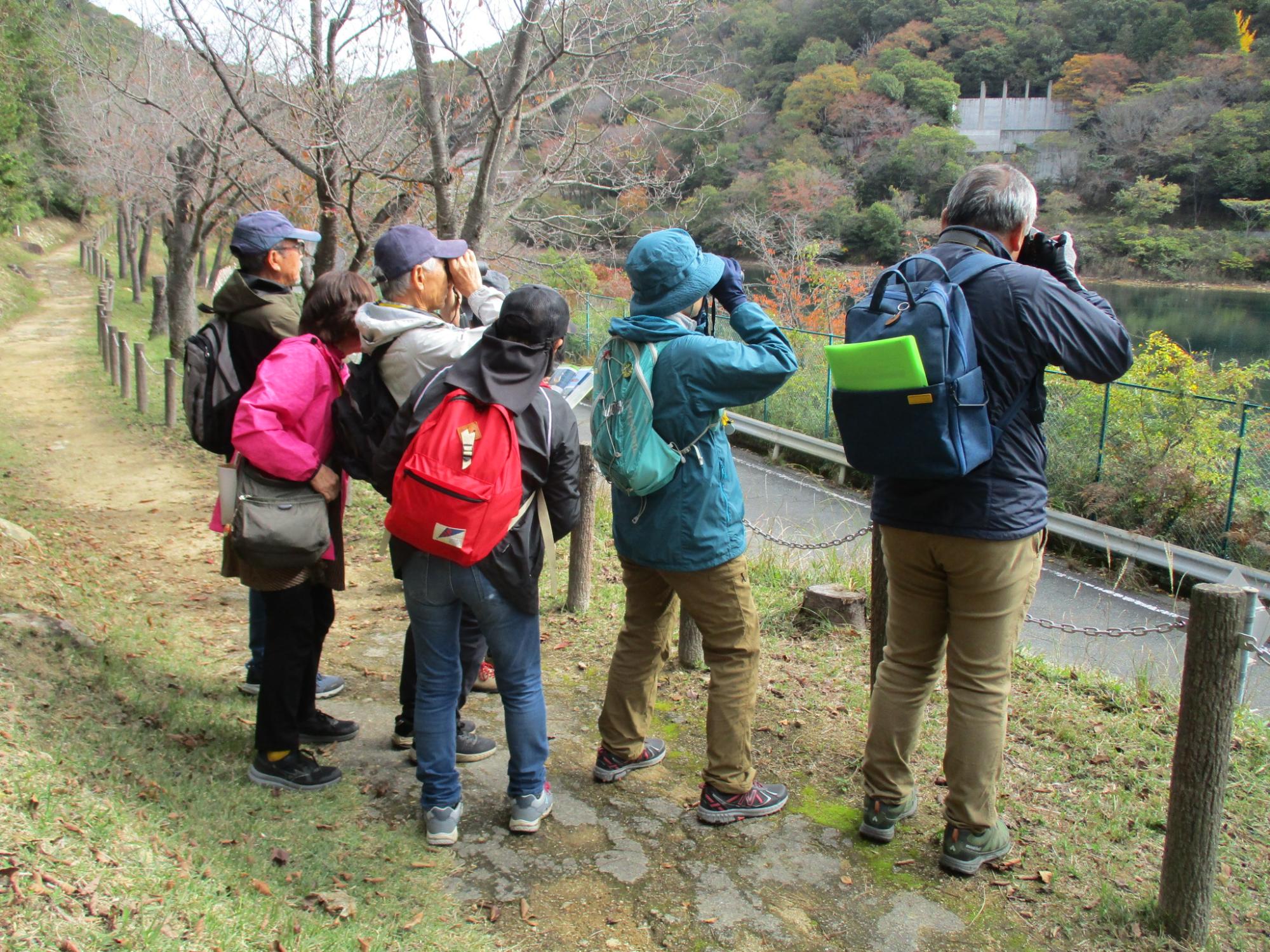 11月12日 自然観察の森（姫路市）にて
