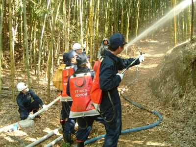 山林火災
